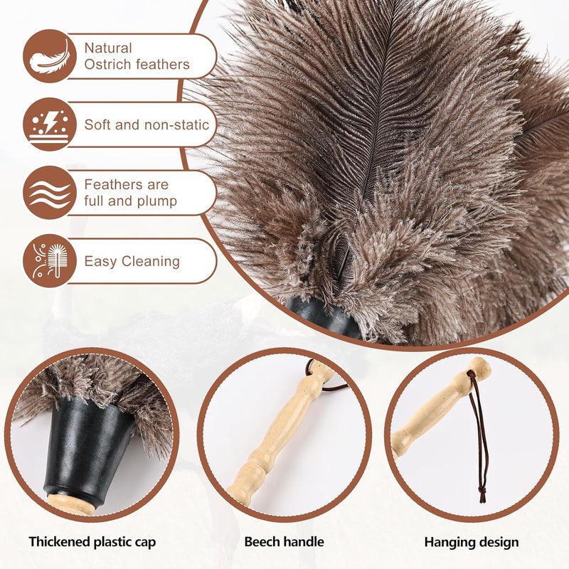 FeelfunFeather Ostrich Feather Duster 14" Natural Handheld Reusable Feathers Dusters with Wooden Handle for Cleaning Supplies Home Car Office(10PCS) - Image 3